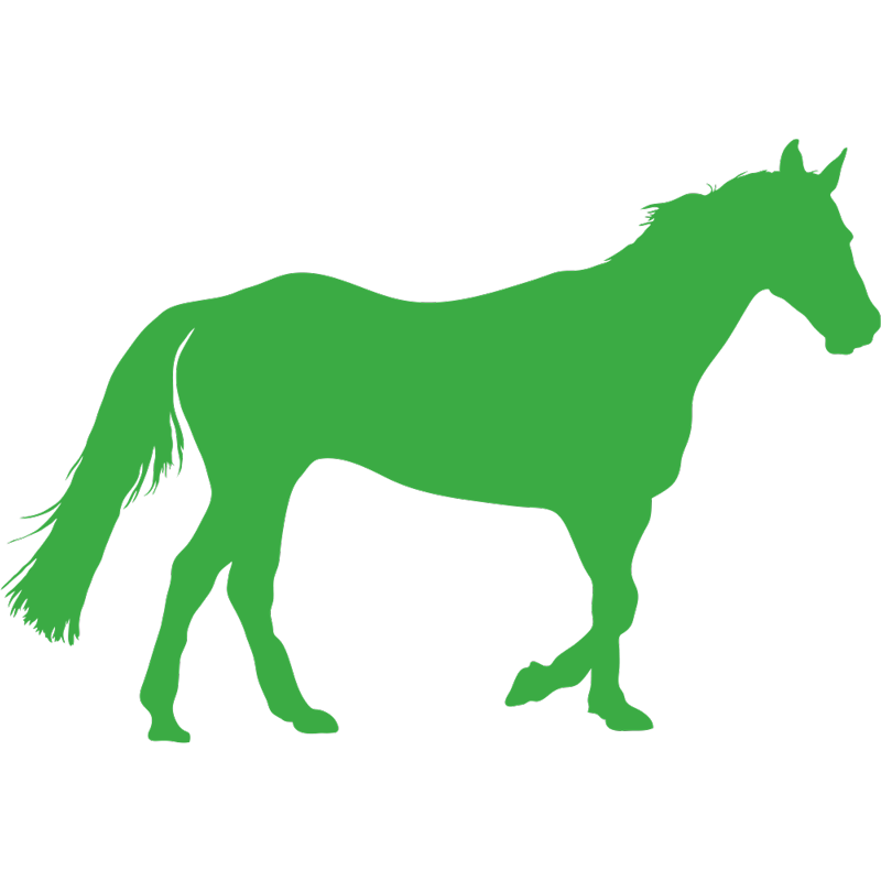 pikto-pferd