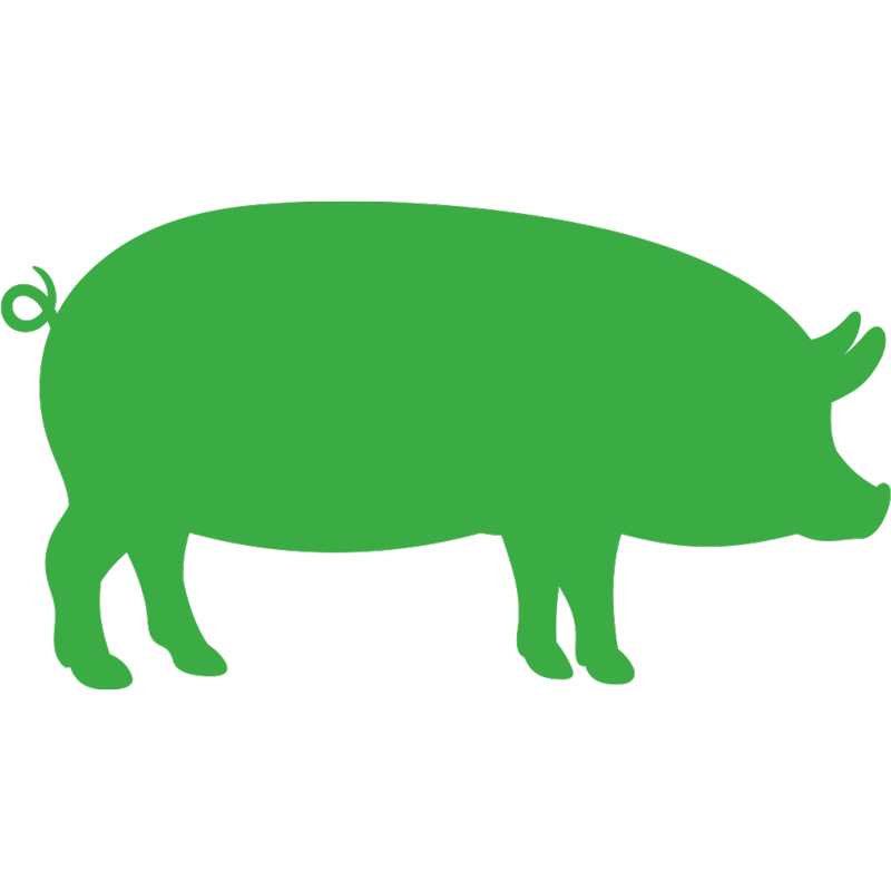 pikto-schwein